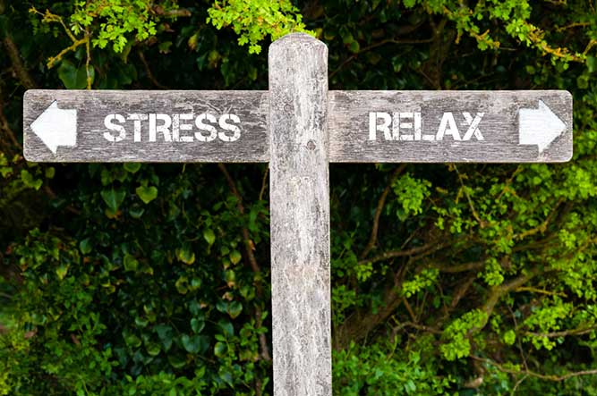 sign of stress and relax