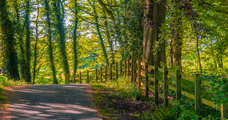 Why moving to Worsley should be on your radar