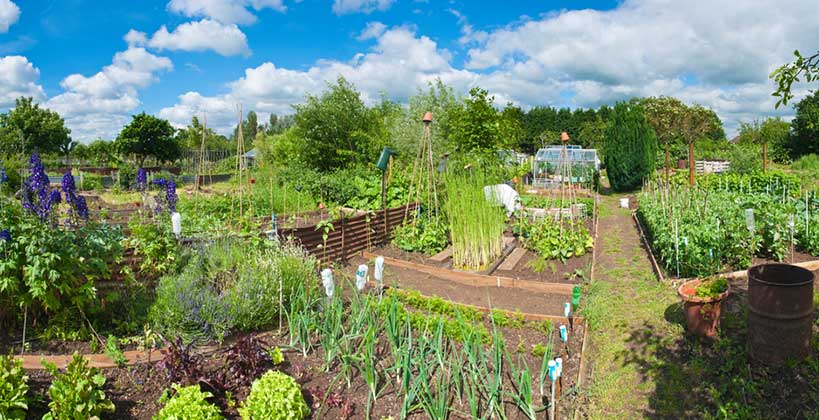 12 Clever Storage Ideas for Allotments 