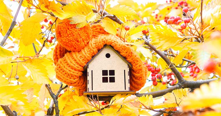 Preparing Your Home for Autumn: Cleaning, Decor, and Maintenance Tips