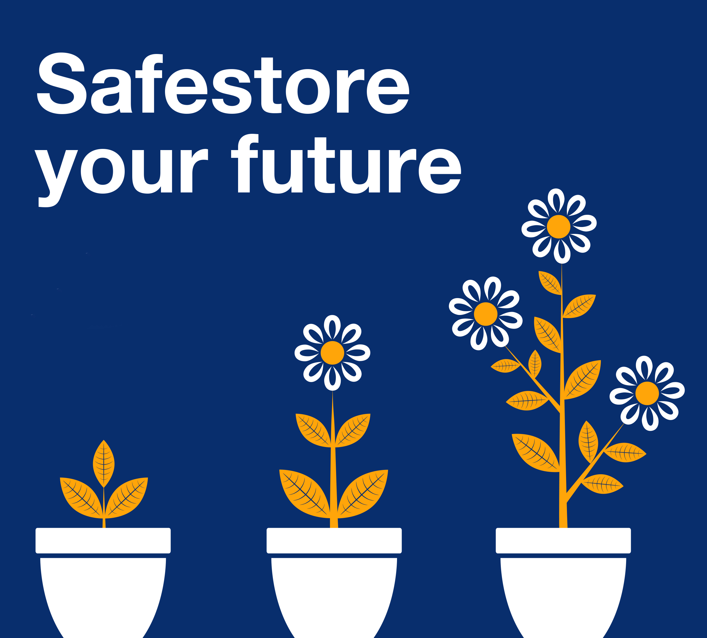 Safestore-your-future.jpg