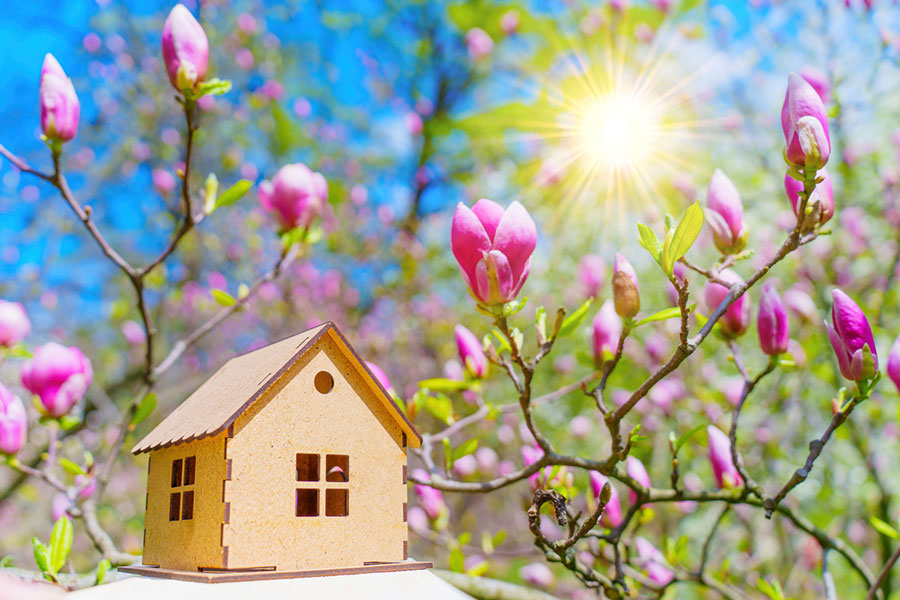 Miniature wooden house model in front of blooming pink magnolia flowers and spring sunlight – symbolising a springtime house move.