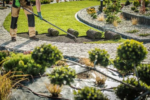A gardener laying sod rolls on a landscaped garden path, surrounded by neatly trimmed bushes and a well-maintained lawn.