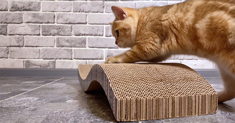 A cat scratching a cardboard scratching post